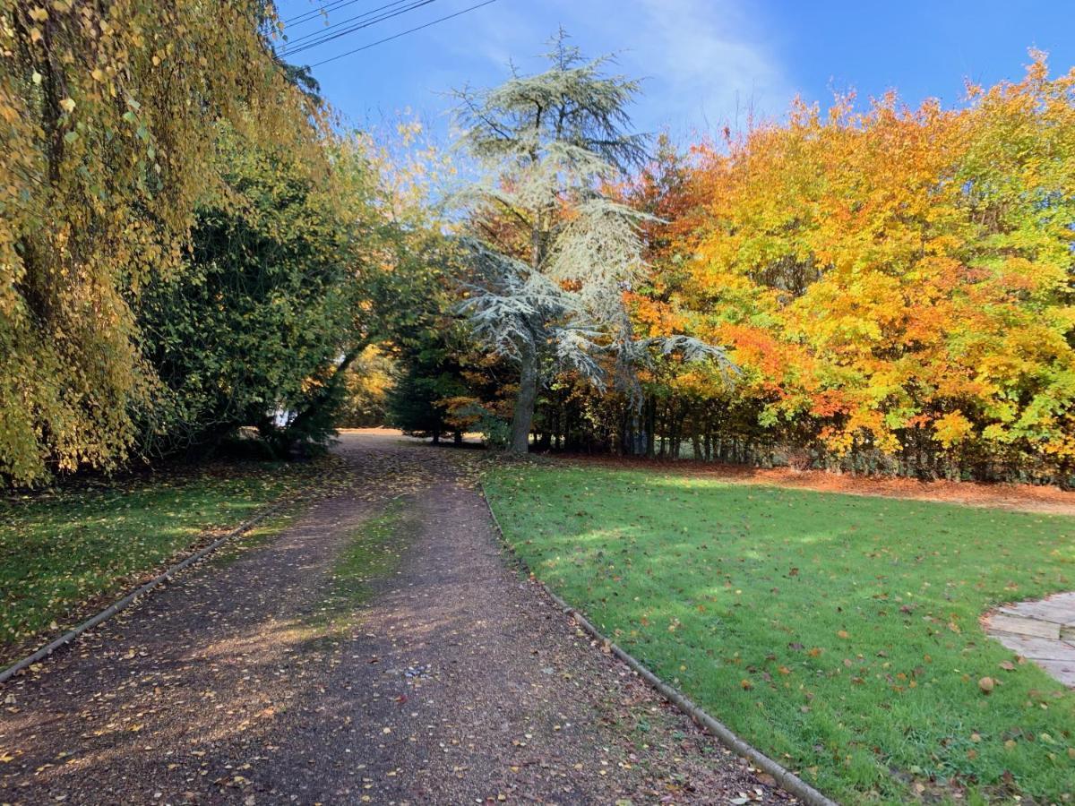 Aldercarr Hall Bed & Breakfast Great Ellingham Exterior photo